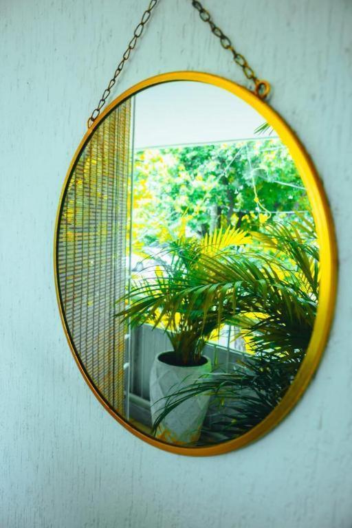 Casa Corozo Castillogrande * Cartagena