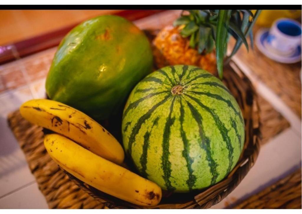 Casa Corozo Castillogrande Pensión Cartagena